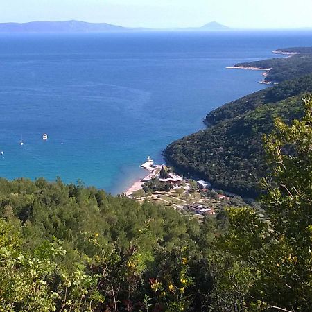 North Adriatic View Apartment ラバック エクステリア 写真