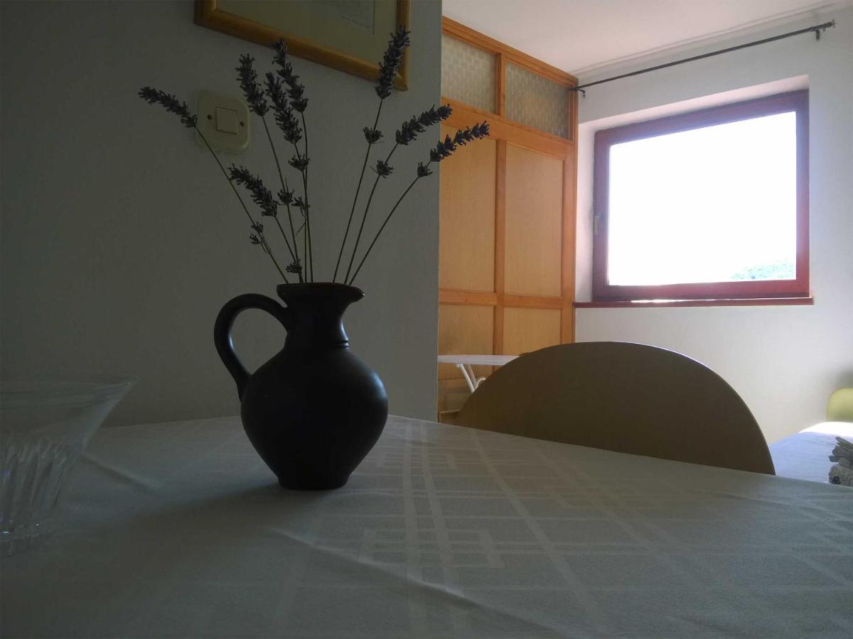 North Adriatic View Apartment ラバック エクステリア 写真